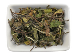 Бай Му Дань: що це за білий чай, який має смак і як заварювати